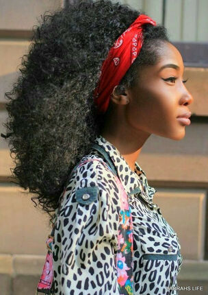 Ebony Damsel Lady Hairstyles  the